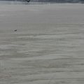 Varanasi et le Gange, fleuve sacre...