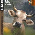 Culture ou élevage de la vache dans nos Alpes ? !