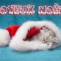 Joyeux Noël 2011