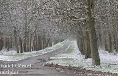 les chemins de la vérité