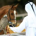 Le Qatar prix de l'arc de triomphe