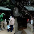 Remède de grand-mére ou aller toucher le buffle ???? (Kitano Tenmangu Shrine)