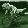 Velociraptor