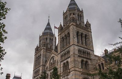 Londres - Le Musée d'Histoire Naturelle