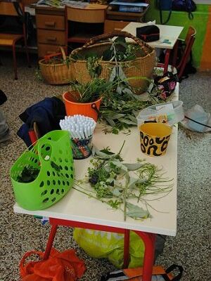 Le jardin de l’école de St Laurent le minier, chapitre 8