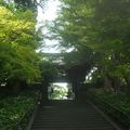 Japon Jour 4 - Kamakura et ses temples