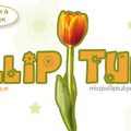 Concours Pullip-Tulipe !