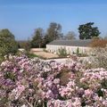 Le Jardin du Parfumeur, ouvrira le 30 mai 2023 au Domaine du Trianon - Château de Versailles