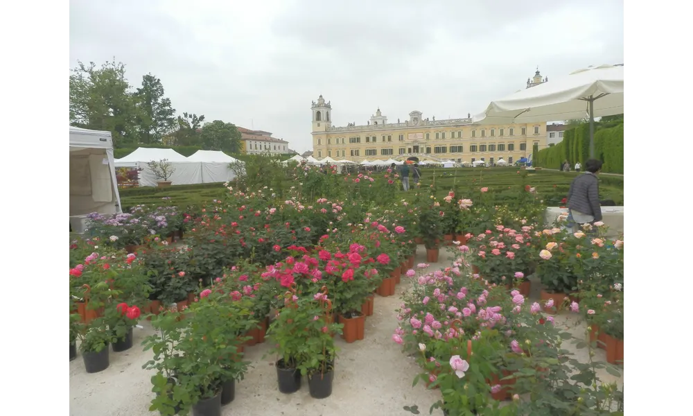 NEL SEGNO DEL GIGLIO a Colorno(Parma) - Flower exhibition - Foire aux fleurs 