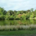 Autour de l'étang du parc Montsouris