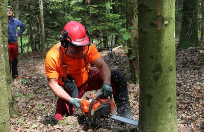 12 Heures de formation à l'utilisation d'une tronçonneuse... Les 3 et 4 mai 2022. En résumé :"La sécurité n'a pas de prix"...