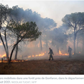 Incendies dans le Sud-Est de la France 