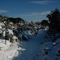 Le Vallon sous la neige !