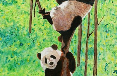 1 Pandas géants - Acrylique sur toile 73x54