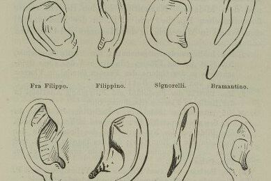 Indices : Morelli, Holmes, Freud