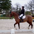 Concours février 2018 au Haras de la Vendée