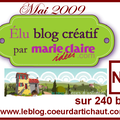 1ère PLACE sur 240 pour le blog coeurdartichaut à Terves en DEUX SEVRES