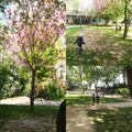 Square du petit bois 🌸🌳🤸‍♂⚽🧗‍♂🌿