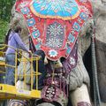 Royal de Luxe au Havre (2) :