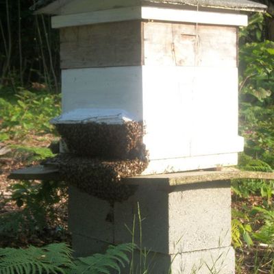 ENFIN UNE BONNE NOUVELLE