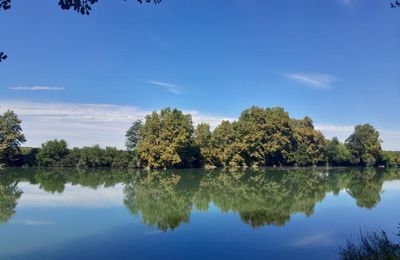 UN P'TIT COUCOU A MICHELE...