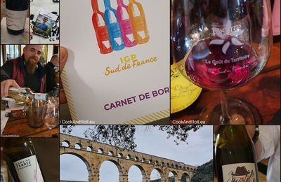 {Vin} Découverte des vins IGP Sud de France