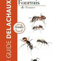 Guide Delachaux :: fourmis de France