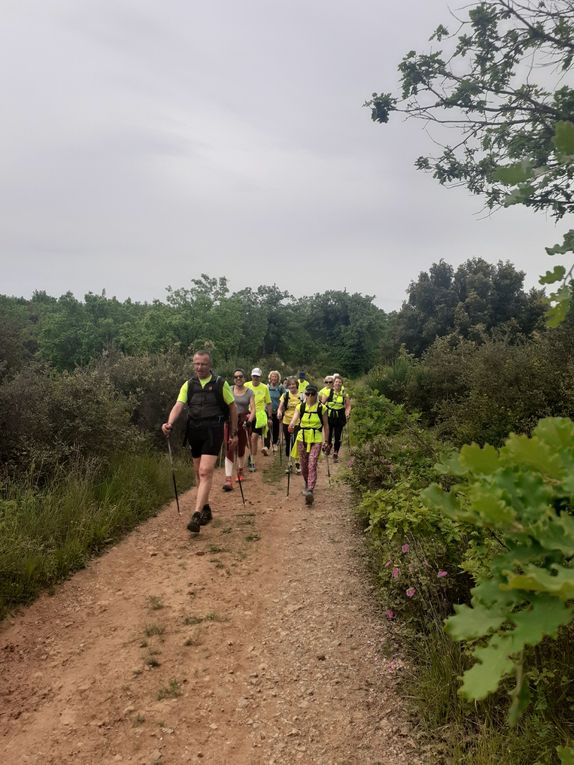13km dans les collines de Flassans pour 13 sportifs 