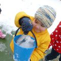 Les sciences  à l'école