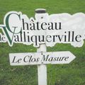 Château de Valliquerville