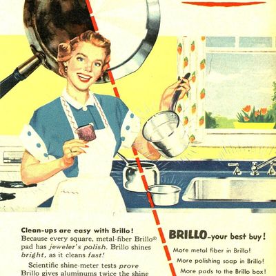 Réponse à une internaute : Les éponges 