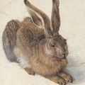 Summertime... mon lapin !