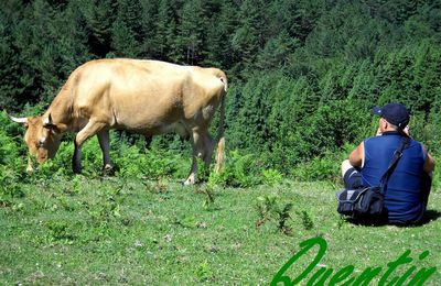 la vache et le prisonnier en haut du col d'ibardin