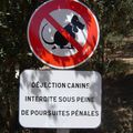 Sujet sensible, nous aimons nos chiens, mais...