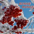 BONNE ANNÉE 2017 !