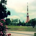 Flirting with Tokyo Tower