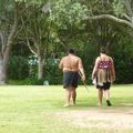 Un peu d'histoire à Waitangi