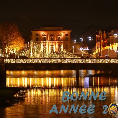 Les Vœux 2026 du CartophiLion