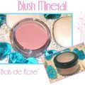Blush Mineral Bois de Rose : Maquillage fait Maison !!!