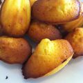 Madeleines