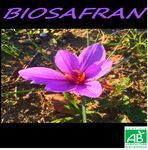 BIOSAFRAN