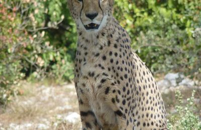 Après-midi au zoo du Lunaret (Montpellier)