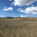 Sur la route pour La Paz, quelques vues de l'Altiplano. Hermoso...