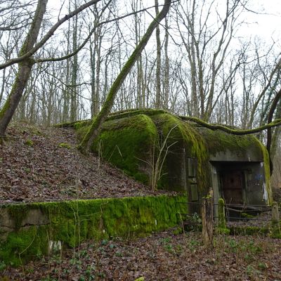 HETTANGE GRANDE, LA FORET DOMANIALE DE GARCHE