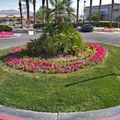 Rond-point à Las Vegas (Nevada)