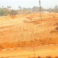 Aménagement: du gazon made in…Olembe