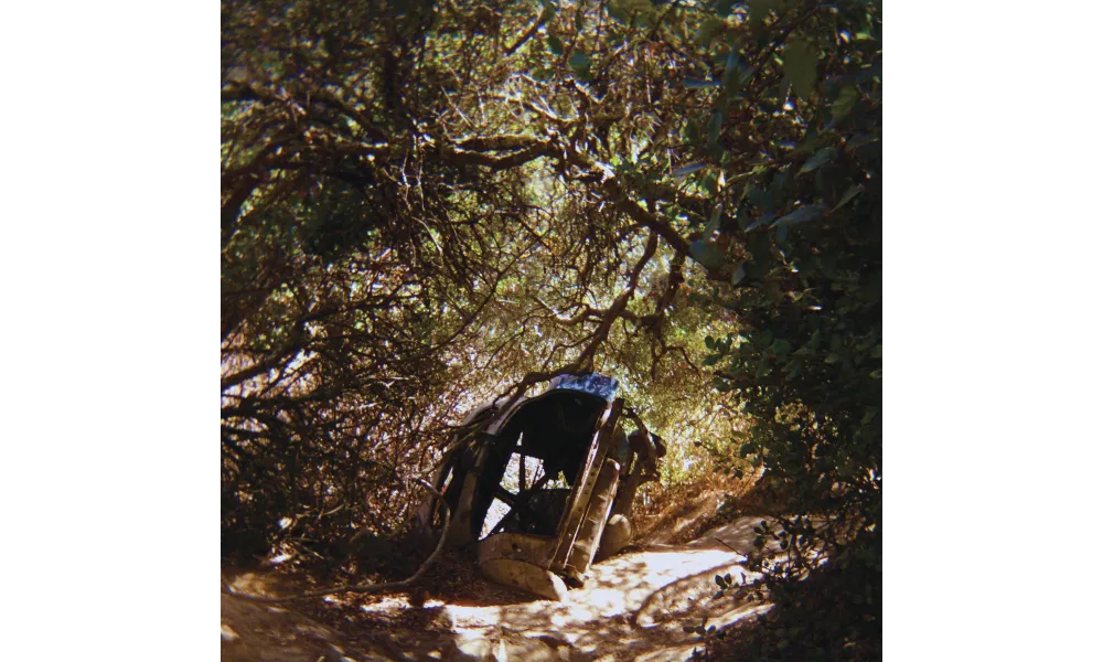 TY SEGALL – Possession (2025)