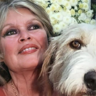La fondation Brigitte Bardot, un héritage durable pour la cause animale