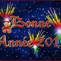 Bonne Année 2013!!!!!!!!!!!