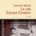 Le cas Eduard Einstein - Laurent Seksis